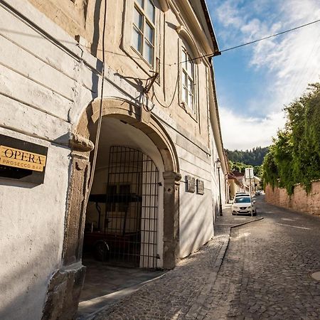 Apartman Blue Moon Banská Štiavnica 外观 照片