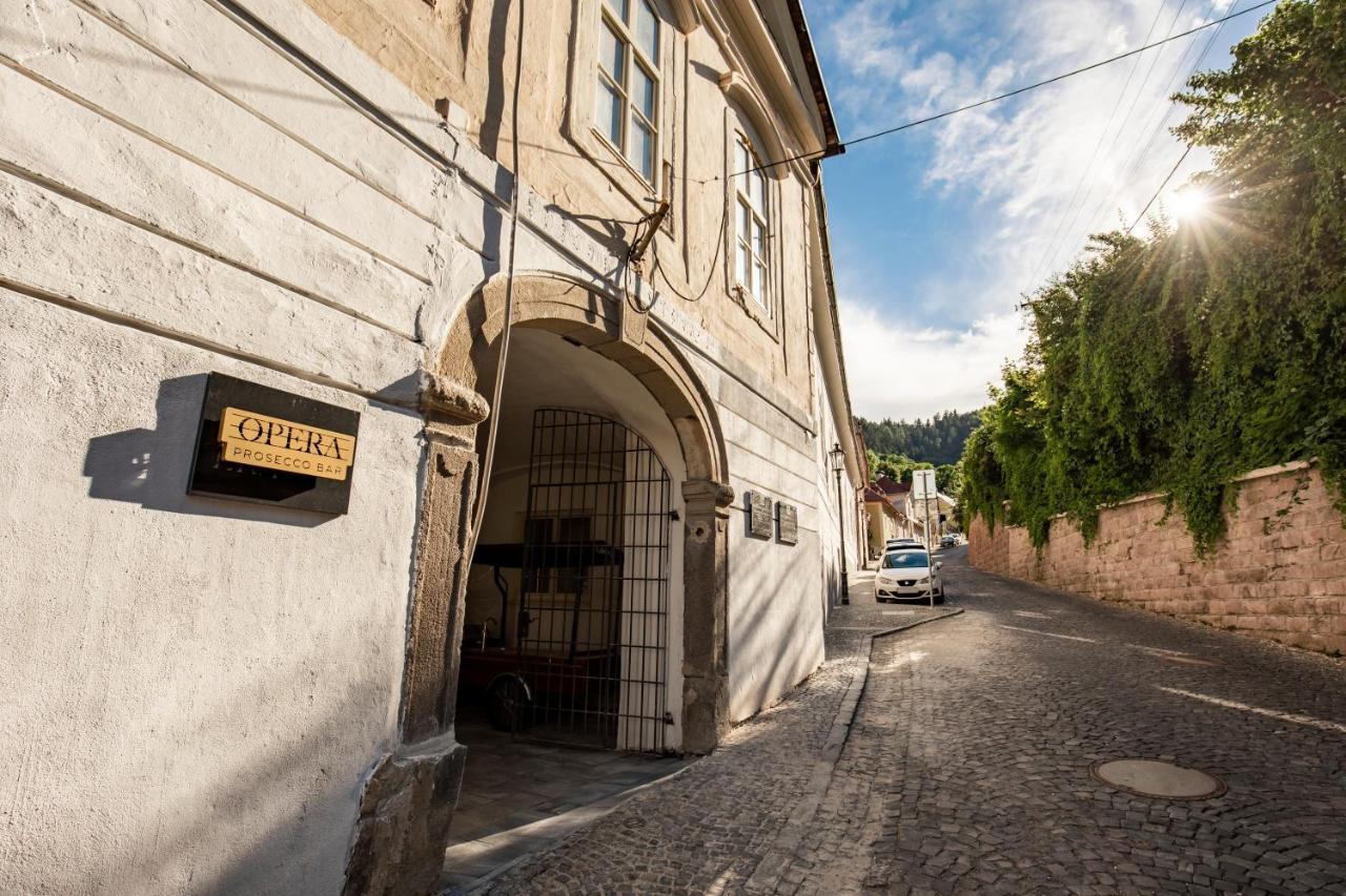 Apartman Blue Moon Banská Štiavnica 外观 照片